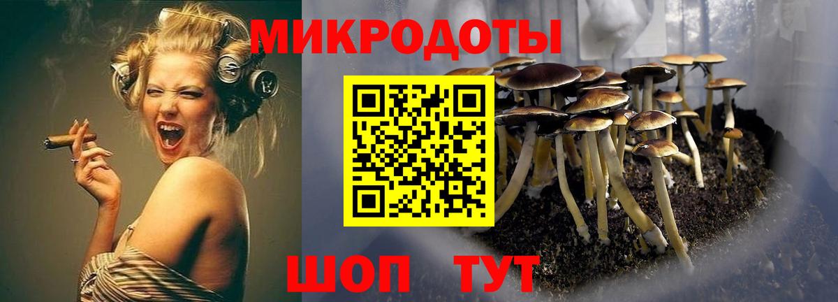 Галлюциногенные грибы ЛСД  купить закладку  Серов  Вход с VPN 